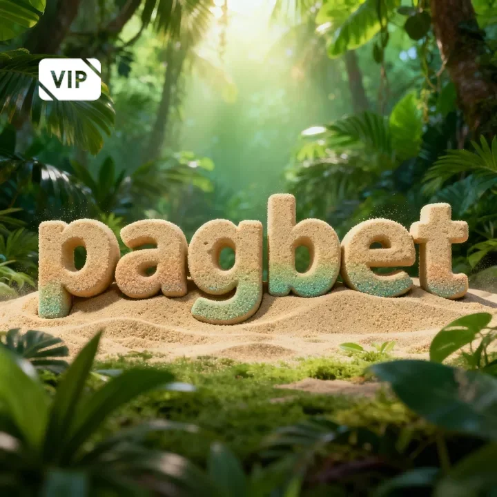 Programa VIP exclusivo da pagbet